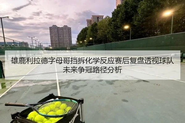 雄鹿利拉德字母哥挡拆化学反应赛后复盘透视球队未来争冠路径分析（pg）